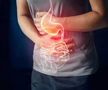 improved digestion