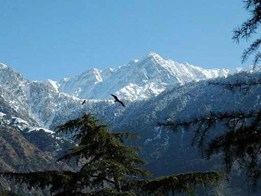 hemant-main